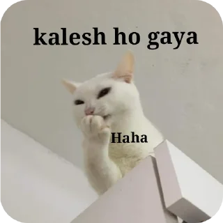 Video sticker 🐱 🎀Surbhi🎀
