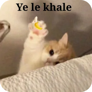 Video sticker 🐱 🎀Surbhi🎀