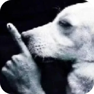 Telegram sticker 🐶 Pacotão