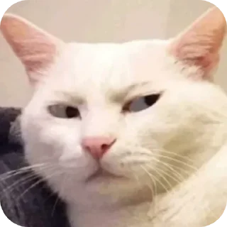 Телеграм стикер 👀 SO CRAZY