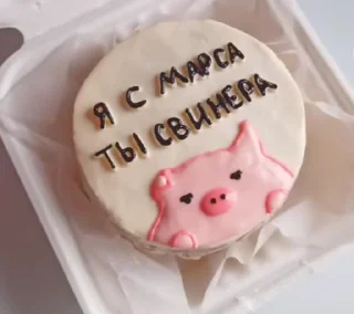 Video sticker 🐷 Больше стиков тут: @stikery4