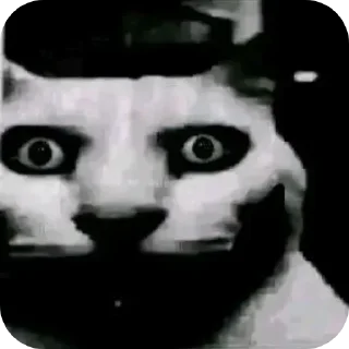Video sticker 🐱 Что| @Zanik10