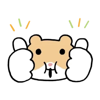 Video sticker 😊 DOOHAMBBA