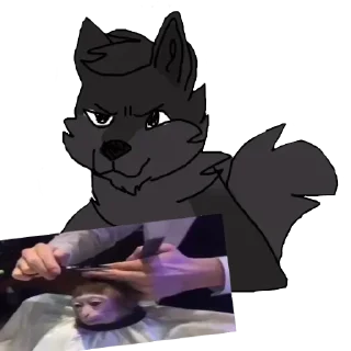 Telegram sticker 🐵 Mery