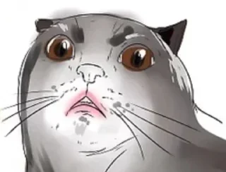 Telegram sticker 😰 Wikihow Cats