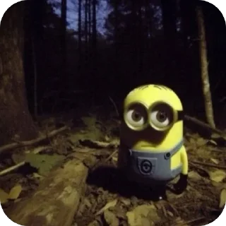 Video sticker 🫤 оыжая кормит 😛 @wissan1