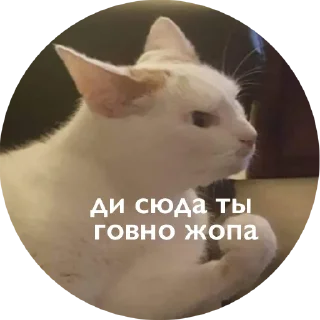 Sticker 😡 Кусь