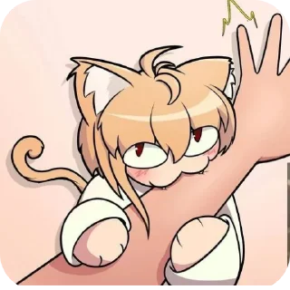 Telegram sticker 🐱 Gato