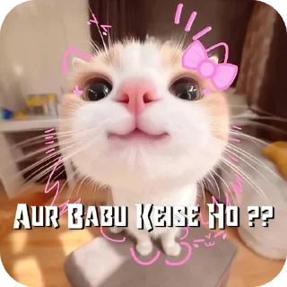 Sticker 🐱 Backchodi With SpaceX ✨