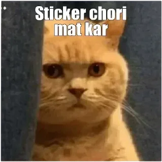 Video sticker 😤 Backchodi With SpaceX ✨