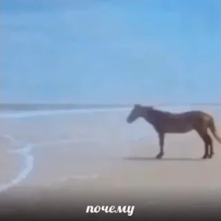 Telegram sticker 😞 yep::fav png