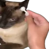 Video sticker 👂 @emojic | Large Duck