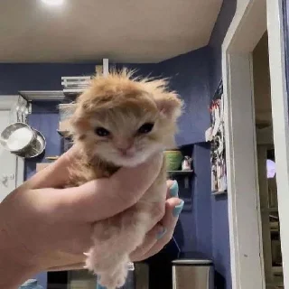 Telegram sticker ⭐️ 🤓