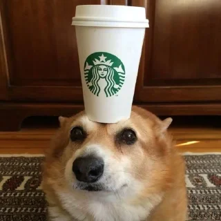 Telegram sticker 🌟 корги песик :: @fStikBot