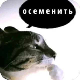 Telegram sticker 🫥 Онейра