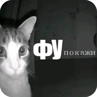 Telegram sticker 🫥 Онейра
