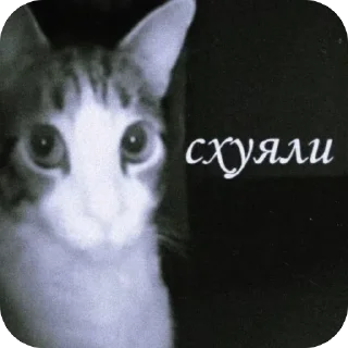 Video sticker 🫥 Онейра