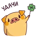 Video sticker 🍀 Свинцент @TgSticker