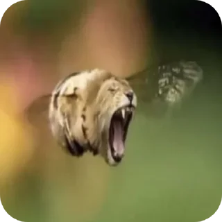 Telegram sticker 👍 стики дауна энкора