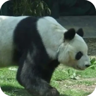 Telegram sticker 🫥 For the Chat