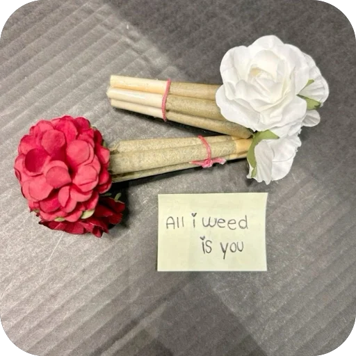 Telegram sticker 🫥 Rocket