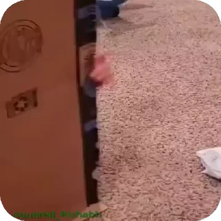 Video sticker 😇 Puresoul ke tante 👻