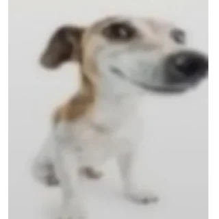 Video sticker 🤔 леон бравл старс пол это лава кобяков