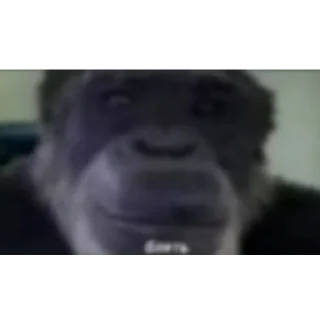 Telegram sticker 😰 леон бравл старс пол это лава кобяков