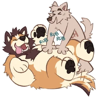 Video sticker 🤗 Rakucito