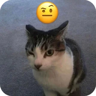 Video sticker 🤨 Yoink