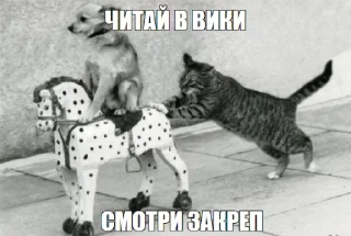 Sticker 🤓 Увожу Кроликов @takemyrabbits