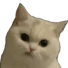 Video sticker 😡 twitchemotes