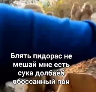 Video sticker 🐒 Монки пон  @stickers_anime3 :: @fStikBot