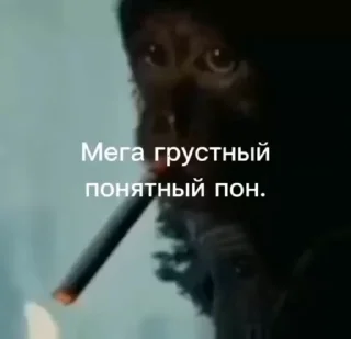 Video sticker 🐒 Монки пон  @stickers_anime3 :: @fStikBot