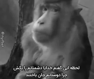Video sticker 💔 @slp_dokhtari | سلپ ۷