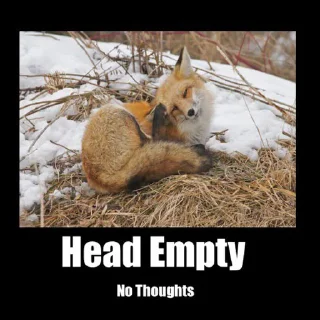 Sticker 🤯 Fox Reacts