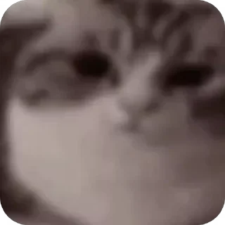 Video sticker 🤯 I hope you explode^^