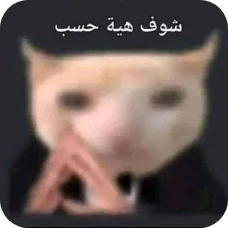 Telegram sticker 🤔 @HASSAN517
