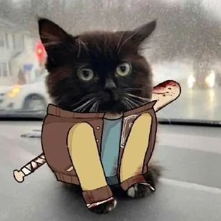 Video sticker 🥹 Джакет