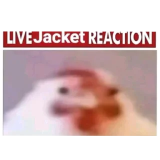 Telegram sticker 🤲 Джакет