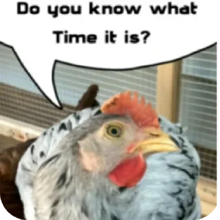 Telegram sticker 🖼 Джакет