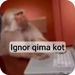Video sticker 💻 By: @l8r_fck