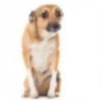 Video sticker 😟 Ларисе долиной 67 лет