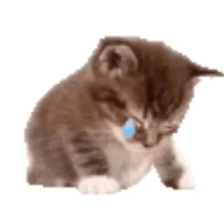 Video sticker 🐱 Ларисе долиной 67 лет