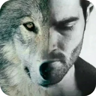 Telegram sticker 🧔 Ларисе долиной 67 лет