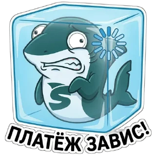 Video sticker ⌛️ PayShark.io BEST P2P PROCESSING