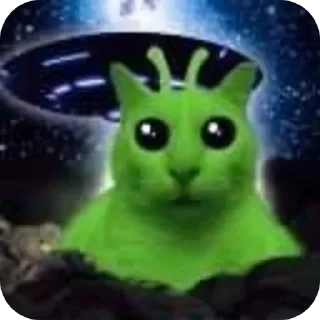Telegram sticker 👍 соня вотZап