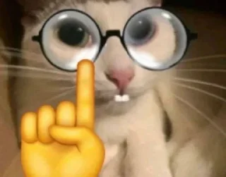 Telegram sticker 🤓 miciotti