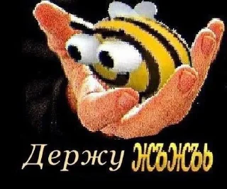 Video sticker ⭐️ LekNi core @LekNich