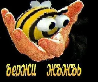 Video sticker ⭐️ LekNi core @LekNich